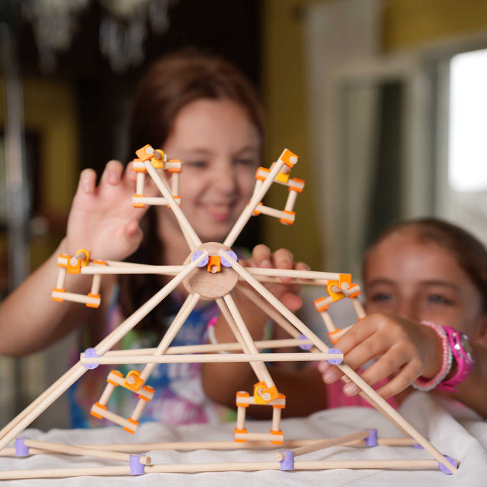 Beaver Smart Structures 75 pieces