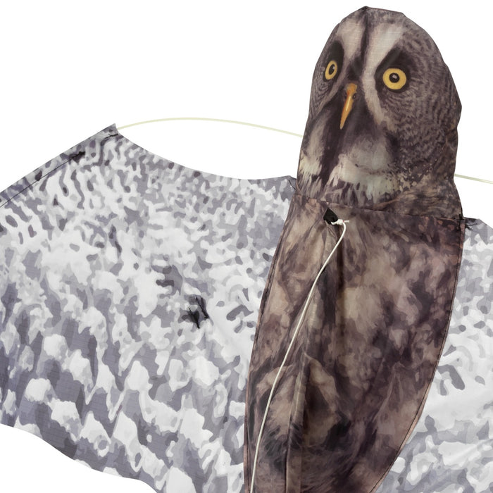 Grey Owl Kite