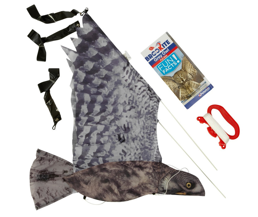 Grey Owl Kite