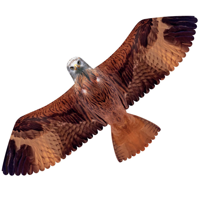 Red Kite Kite