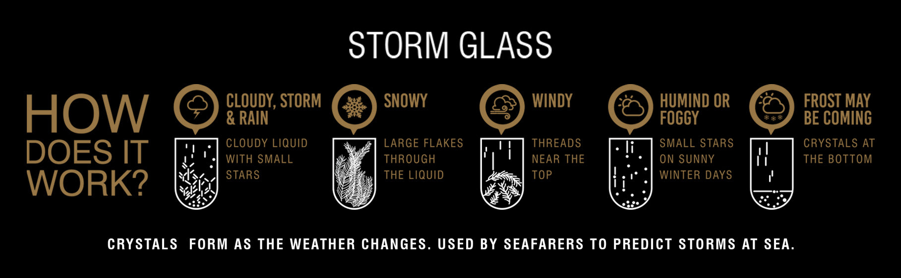 Fitzroy's Storm Glass 11"
