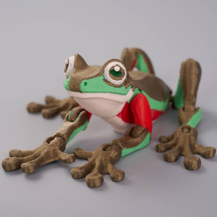 Palm Fidget  Blue Mountains Tree Frog