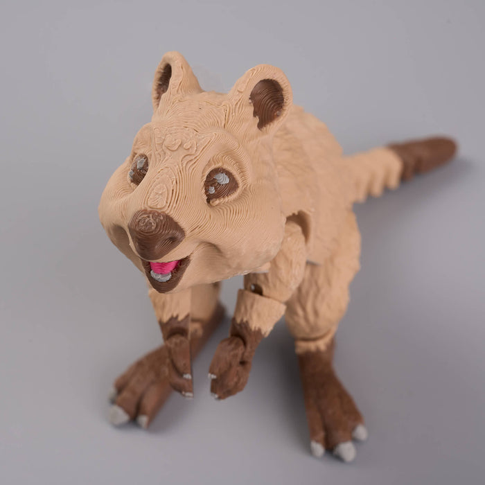 Palm Fidget  Quokka