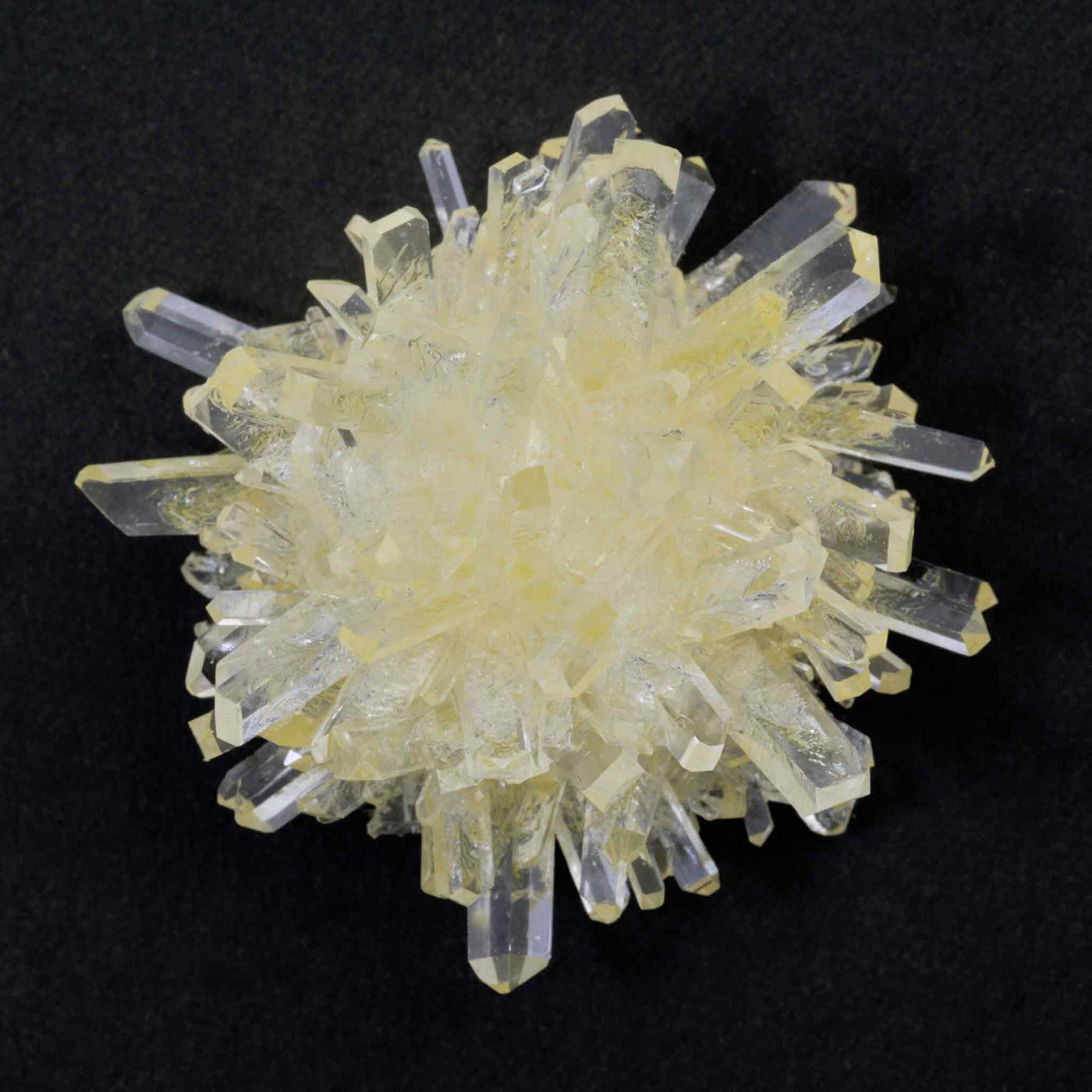 Crystal Grow and Explore — Heebie Jeebies USA