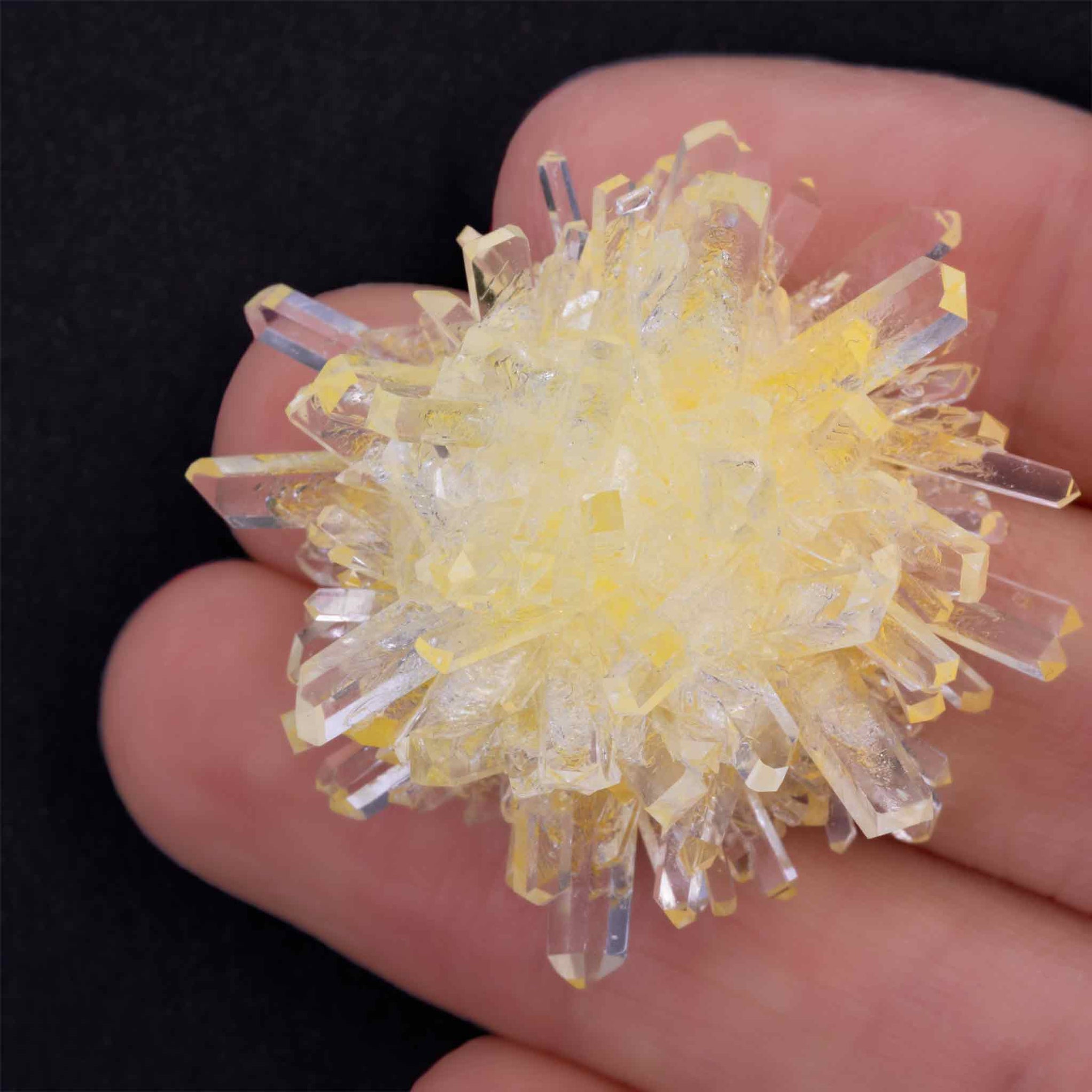 Crystal Grow and Explore — Heebie Jeebies USA