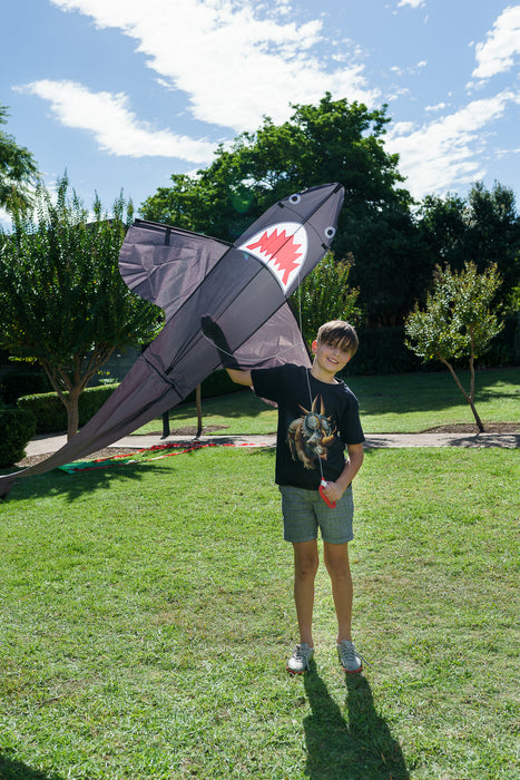 Shark Kite