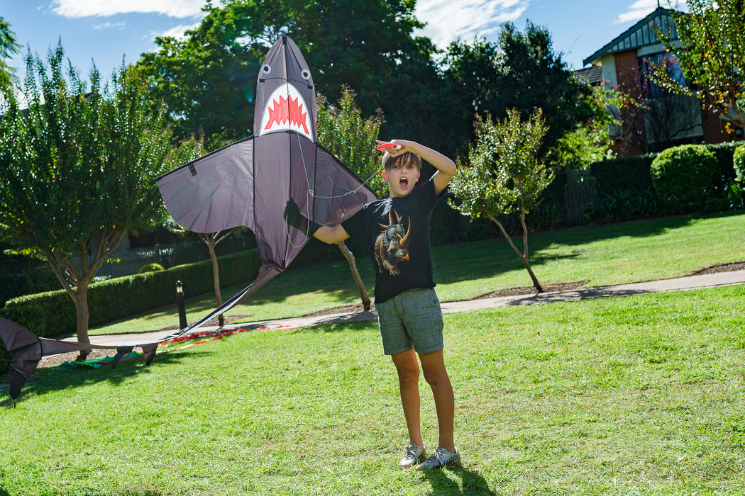 Shark Kite