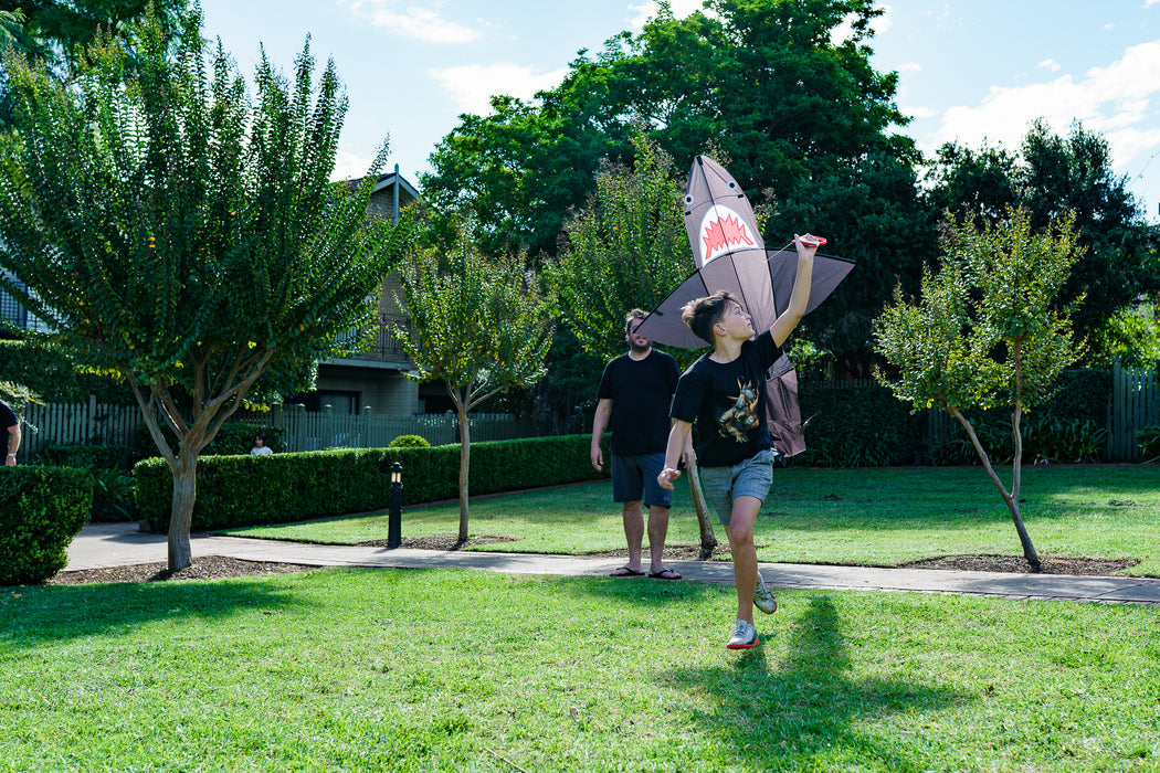 Shark Kite