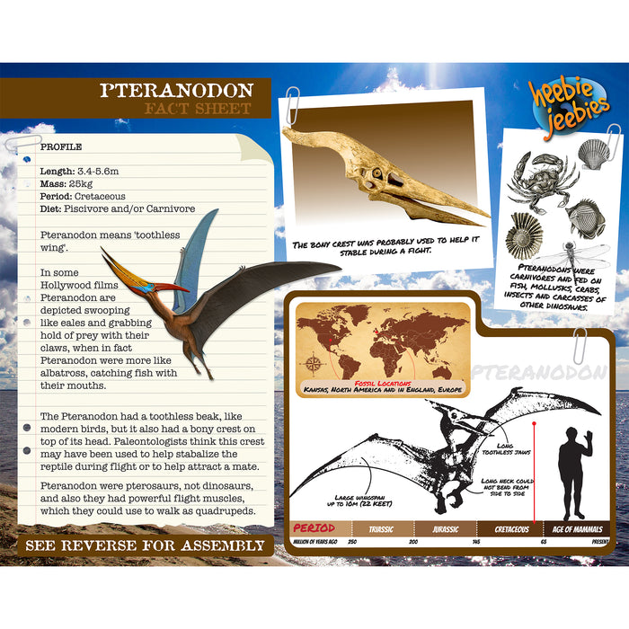 Dino Kit Small Pteranodon