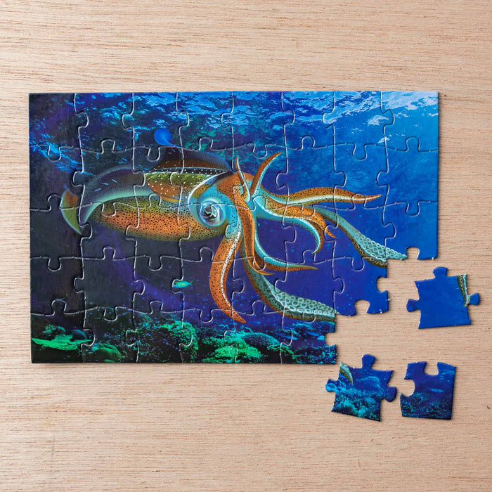 Giant Squid Jigsaw Puzzle Cards 40 Pce