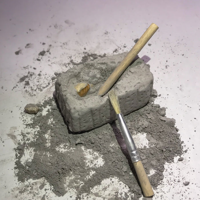 Fossil Dig Paleo kit in beaker