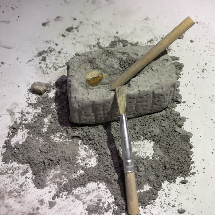 Fossil Dig Paleo kit in beaker